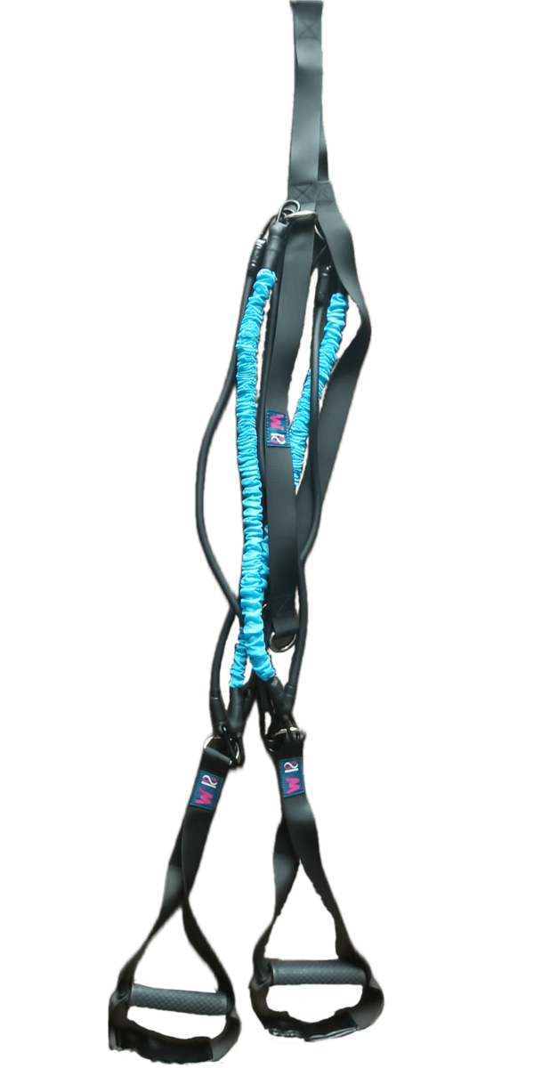 A blue harness with a black and white background